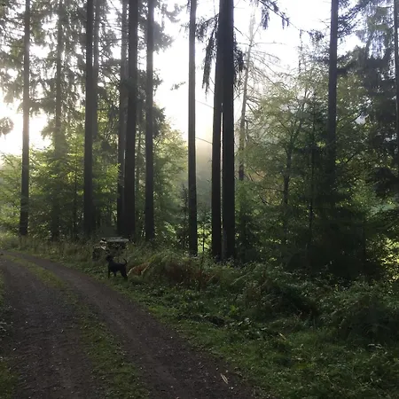 아파트 Burg Freienstein Blick 4 Sauna *