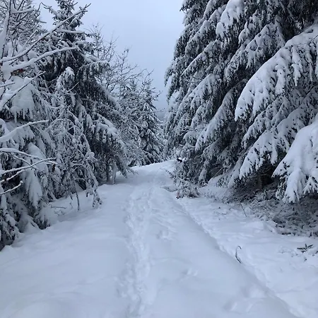 Apartment 4 Burg Freienstein Blick *