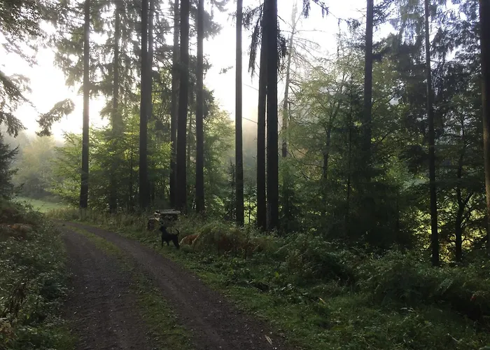 Апартаменты Burg Freienstein Blick Mit Sauna *