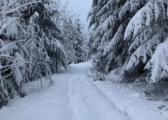 Апартаменты Burg Freienstein Blick Mit Sauna *